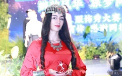 与晋长安在线观看免费版高清